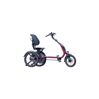 Van Raam Easy Rider Compact - Voorraadmodel